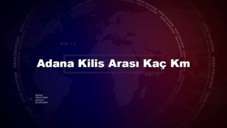 Adana Kilis Arası Kaç Km