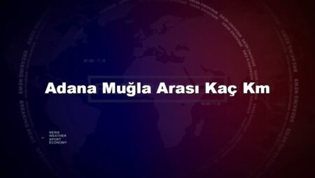 Adana Muğla Arası Kaç Km