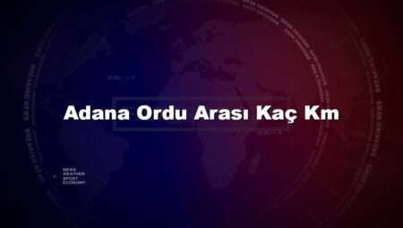 Adana Ordu Arası Kaç Km