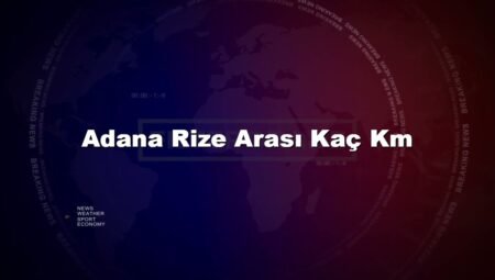 Adana Rize Arası Kaç Km