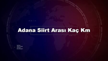Adana Siirt Arası Kaç Km