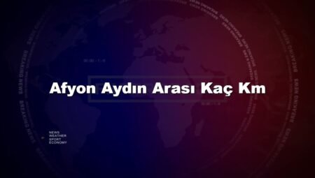Afyon Aydın Arası Kaç Km