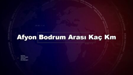 Afyon Bodrum Arası Kaç Km