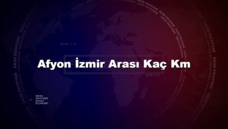 Afyon İzmir Arası Kaç Km