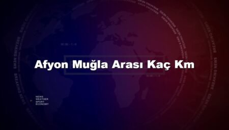 Afyon Muğla Arası Kaç Km