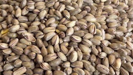 2026 İlk Çeyrekte Türkiye’nin Fıstık İhracatı Ne Kadar Kazandırdı? Detaylı Analiz