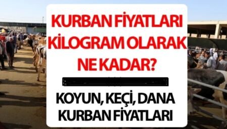 Kurban fiyatları 2026 canlı kilo ne kadar? Koyun, dana, keçi, büyükbaş ve küçükbaş kurban fiyatları açıklandı mı?
