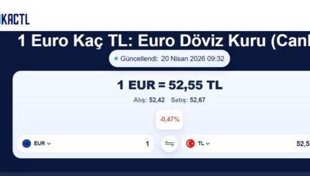 Küresel Piyasaların Odak Noktası: Euro’nun Makroekonomik Analizi ve Değer Koruma Stratejileri