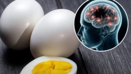 Yumurta Tüketimi Alzheimer Riskini Azaltır mı?