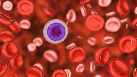 Hemofili nedir ve belirtileri nelerdir? 2026 uzman görüşleri ışığında hastalık hakkında bilinmesi gerekenler