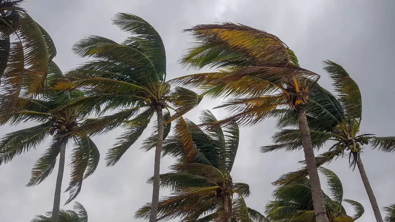 Meteoroloji’den hava durumu uyarısı: Hangi saatlerde yağış bekleniyor?