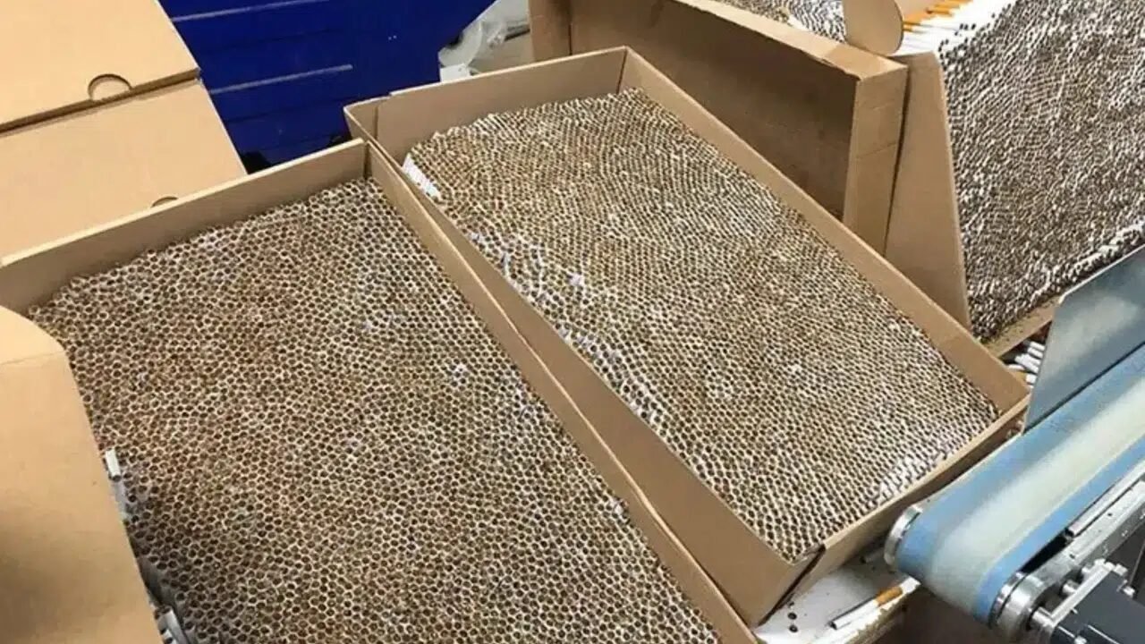İzmir’deki 125 milyon liralık kaçak makaron operasyonunda 1 kişi gözaltında